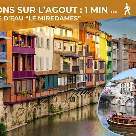 Le Canope - Duplex Confort, Hypercentre, 2 Salles D'eau Apartament Castres (Tarn)