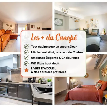 Le Canope - Duplex Confort, Hypercentre, 2 Salles D'eau * Castres (Tarn)