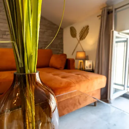 Le Canope - Duplex Confort, Hypercentre, 2 Salles D'eau * Castres (Tarn)