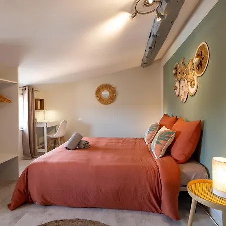 Le Canopé - Duplex Confort, Hypercentre, 2 Salles D'eau Appartamento Castres (Tarn)