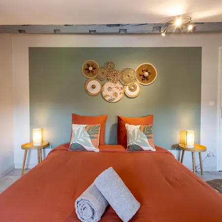 Le Canope - Duplex Confort, Hypercentre, 2 Salles D'eau *