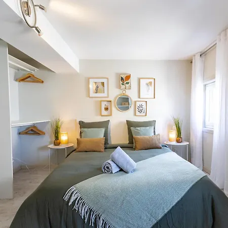 Le Canope - Duplex Confort, Hypercentre, 2 Salles D'eau * Castres (Tarn)