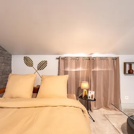 Le Canope - Duplex Confort, Hypercentre, 2 Salles D'eau Appartement Castres (Tarn)