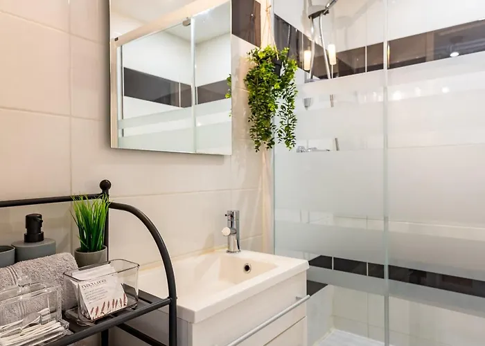 Апартаменты Le Canope - Duplex Confort, Hypercentre, 2 Salles D'eau